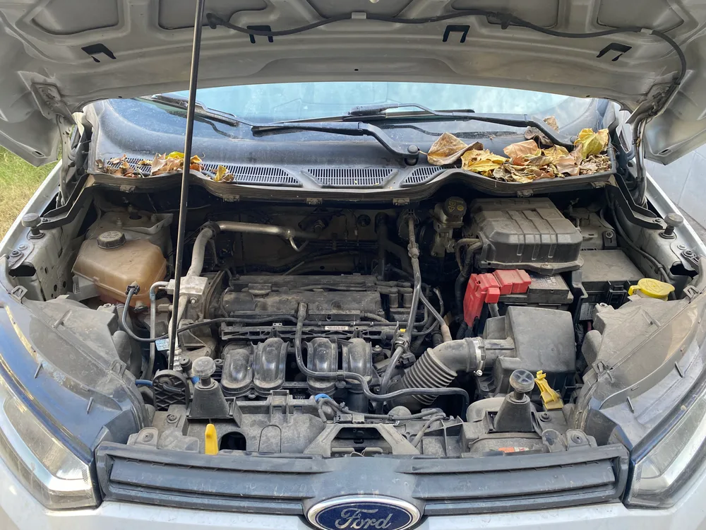 Motor de Chevrolet Blazer con grasa y suciedad acumulada antes de la limpieza